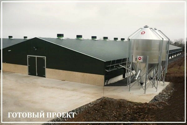 Этапы возведения птицефабрики от завода ВелесТент-кри